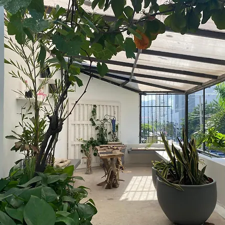 Loft * Cartagena